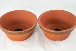 Rewind Film Studio x Tokikobo Pottery x Beeme Handmade