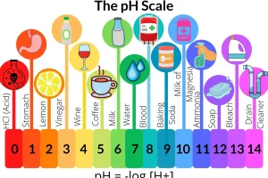 PH & Co